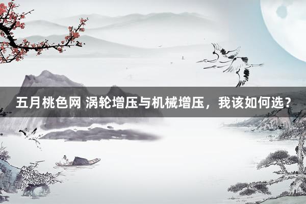 五月桃色网 涡轮增压与机械增压，我该如何选？