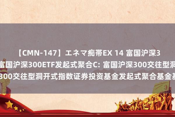 【CMN-147】エネマ痴帯EX 14 富国沪深300ETF发起式聚合A,富国沪深300ETF发起式聚合C: 富国沪深300交往型洞开式指数证券投资基金发起式聚合基金基金份额发售公告