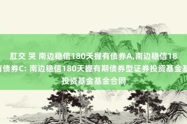 肛交 哭 南边稳信180天握有债券A,南边稳信180天握有债券C: 南边稳信180天握有期债券型证券投资基金基金合同