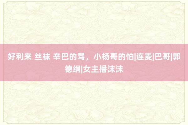 好利来 丝袜 辛巴的骂，小杨哥的怕|连麦|巴哥|郭德纲|女主播沫沫