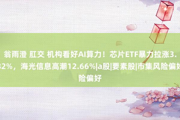 翁雨澄 肛交 机构看好AI算力！芯片ETF暴力拉涨3.82%，海光信息高潮12.66%|a股|要素股|市集风险偏好