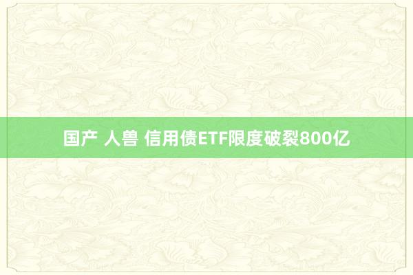 国产 人兽 信用债ETF限度破裂800亿