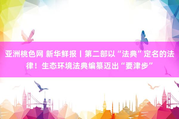 亚洲桃色网 新华鲜报丨第二部以“法典”定名的法律！生态环境法典编纂迈出“要津步”