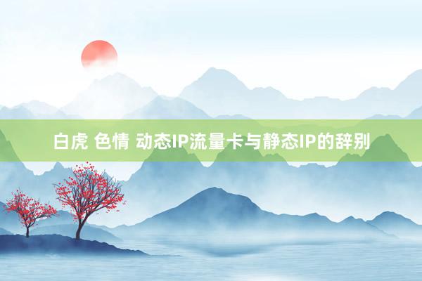 白虎 色情 动态IP流量卡与静态IP的辞别