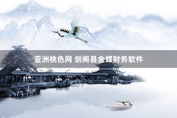 亚洲桃色网 剑阁县金蝶财务软件