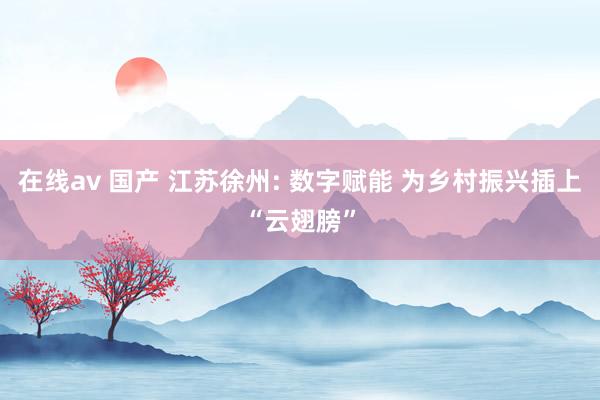 在线av 国产 江苏徐州: 数字赋能 为乡村振兴插上“云翅膀”