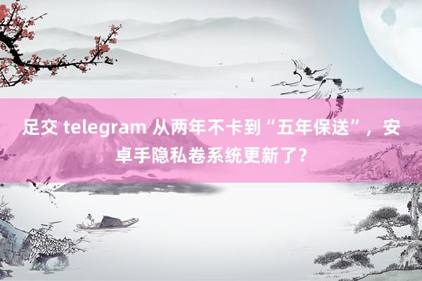 足交 telegram 从两年不卡到“五年保送”，安卓手隐私卷系统更新了？