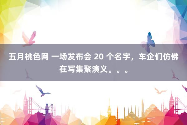 五月桃色网 一场发布会 20 个名字，车企们仿佛在写集聚演义。。。